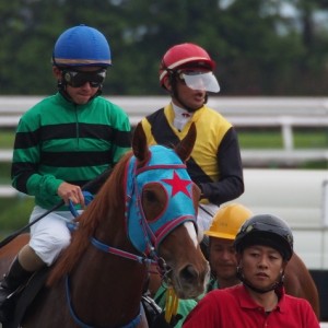 上賀茂Ｓ　スタート前