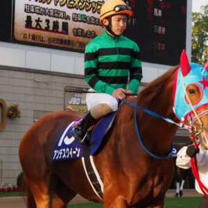 ＪＢＣパドック３