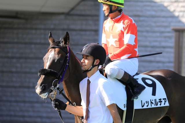 2019.10.5 東京9Ｒ 3歳以上1勝クラス レッドルチア