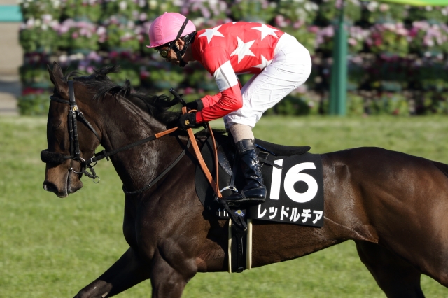 本馬場入場2 レッドルチア