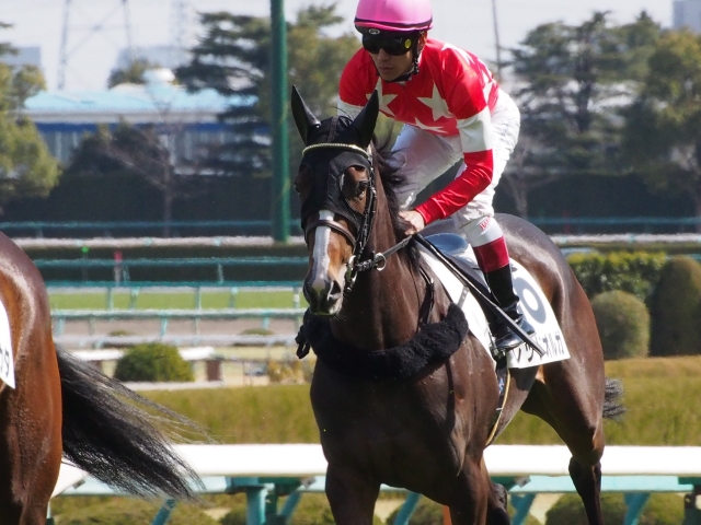 阪神未勝利3着時　返し馬 レッドオルガ