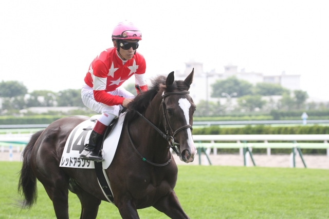 馬場入り レッドアランダ