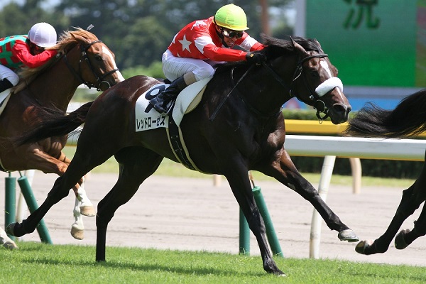 2016.8.6 新潟5R 新馬戦 レッドローゼス