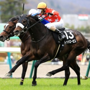 2019.4.14 福島11R 福島民報杯