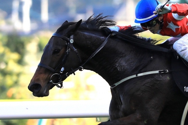 2018.11.3 福島10R 磐梯山特別 レッドボヌール