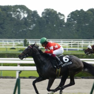 直線抜け出した！！