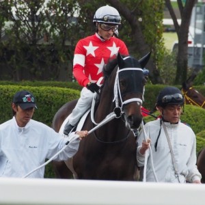 デビュー戦、本馬場入場時