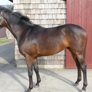 2016/5/3 ファンタストクラブ