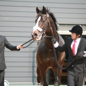 レース後　検量室前にて