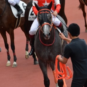 ２０１６年６月４日　２歳新馬　レース後