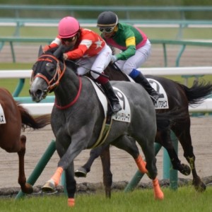 ２０１６年６月４日　２歳新馬