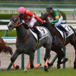 ２０１６年６月４日　２歳新馬