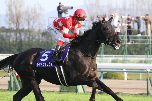 返し馬 レッドジェノヴァ