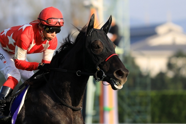 2018.11.11 京都11R エリザベス女王杯 レッドジェノヴァ