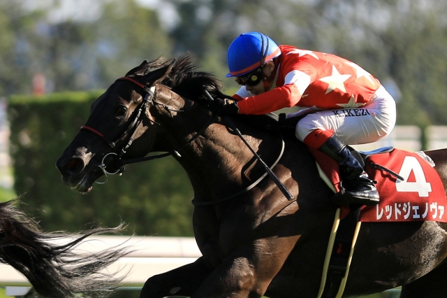 2018.10.8 京都11R 京都大賞典 レッドジェノヴァ