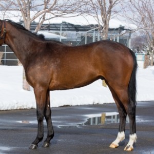 2016年3月のラーザム