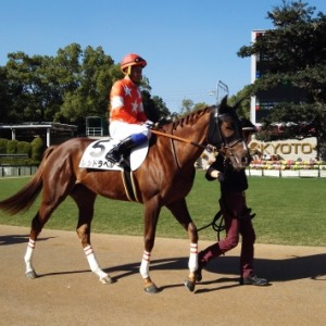 レッドラペル、岩田騎手を背に