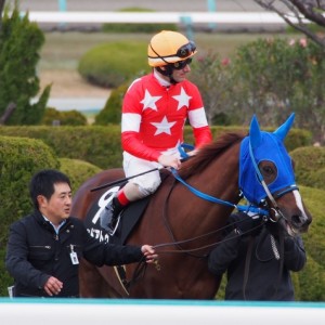 樅の木賞　本馬場入場時