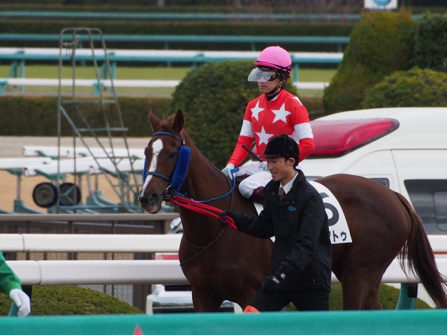 500万下優勝時　スタート前 レッドアトゥ