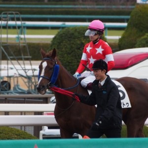 500万下優勝時　スタート前