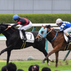 レース