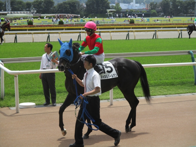 本馬場入場 マイネルバールマン