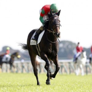 ワインアンドダイン