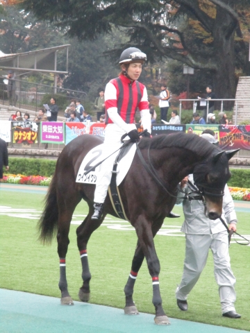 松岡騎手と ウインイクシード