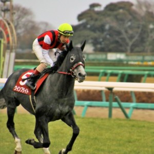 返し馬