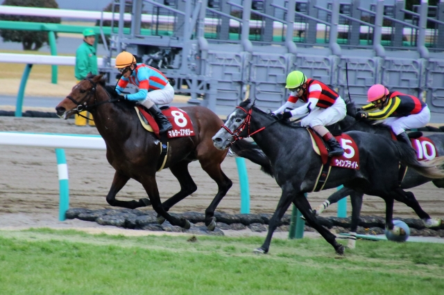 捕らえた ウインブライト