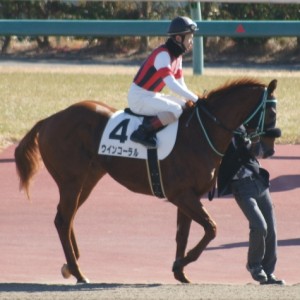 ７戦目本馬場入場