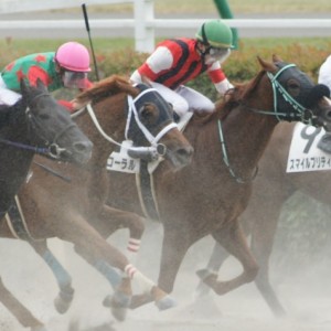 未勝利戦レース中(12戦目)