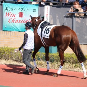 横断幕が出てる