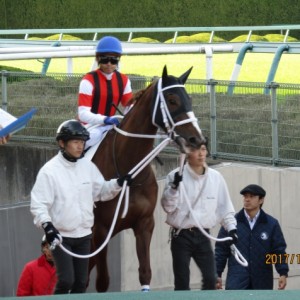 2017.12.10_3歳上500万下_本馬場(1)