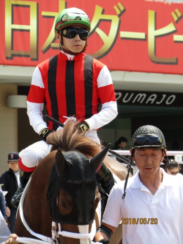 2018.5.20_4歳上500万下_パドック(4) ウインシャトレーヌ