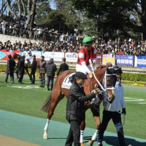 内田騎手を背に