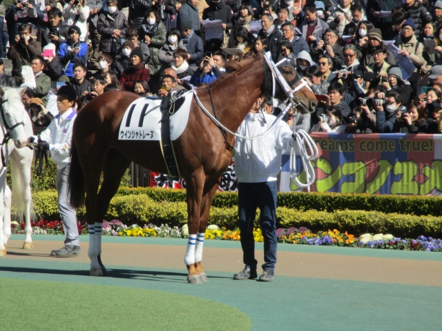 落ち着きあり ウインシャトレーヌ