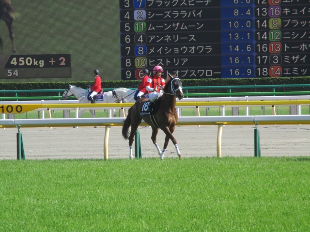 緑の芝で ウインシャトレーヌ
