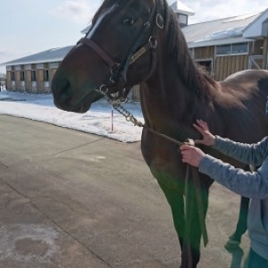 3月5日 ノーザンファーム空港
