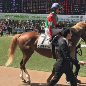 デビュー戦パドック