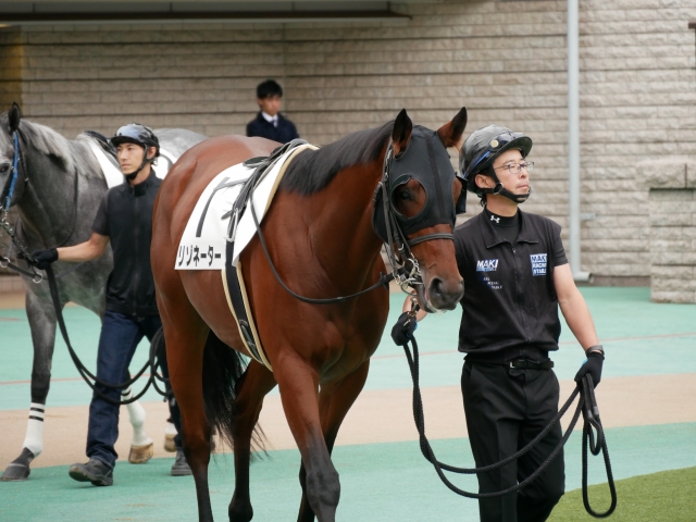 10-13　1000万下パドック リゾネーター