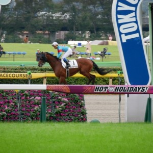 10-13　1000万下返し馬