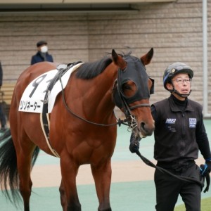 パドック周回中