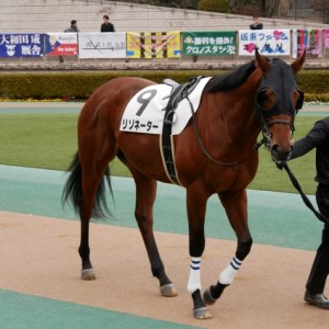パドック周回中