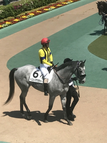 パドックでは落ち着いて ベストアクター