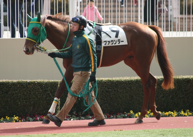 第１回小倉第２日４Ｒ３歳未勝利１８００Ｍ芝　パドック ファウンダー