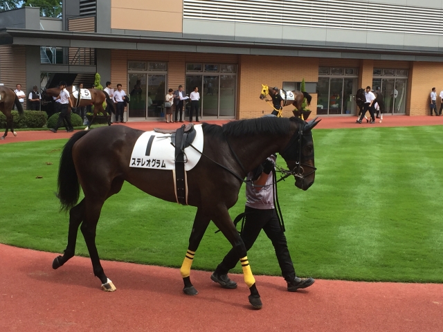 頑張って👍 ステレオグラム