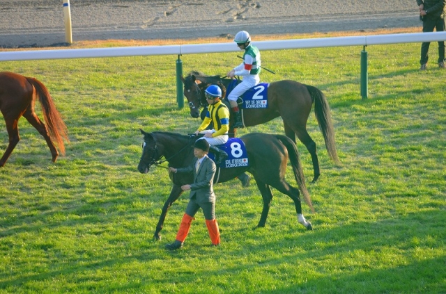 スタート前 ソウルスターリング