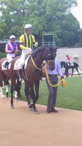 3歳500万下パドック エジステンツァ