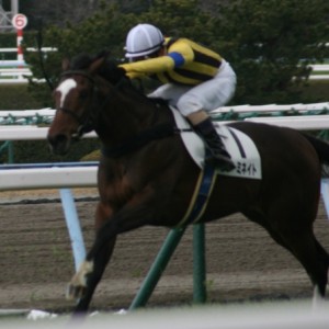 第１回小倉第２日４Ｒ３歳未勝利１８００Ｍ芝　レース